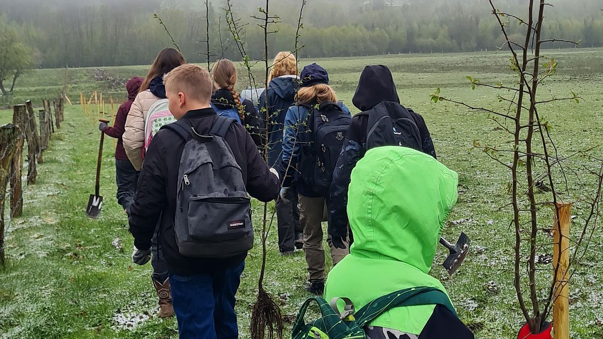 Zukunftstag 2024: Arbeiten im Zweckverband Naturpark Solling-Vogler