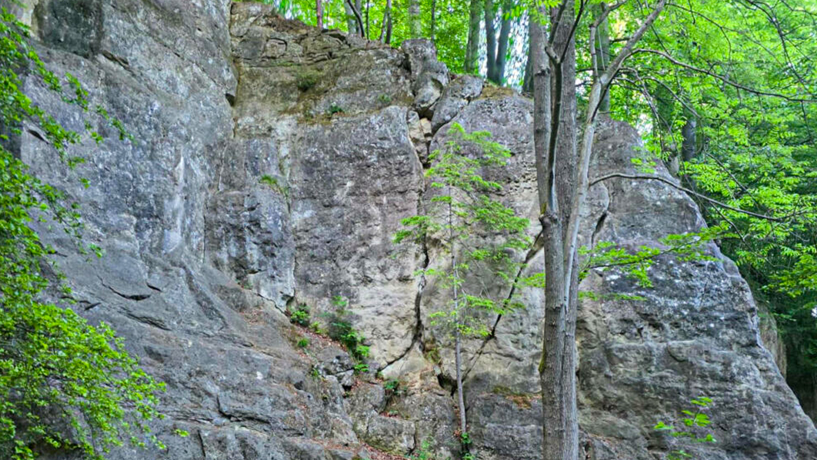 Schwere Verletzungen nach Kletterabsturz an den Holzener Klippen – Hubschrauber fliegt Frau aus