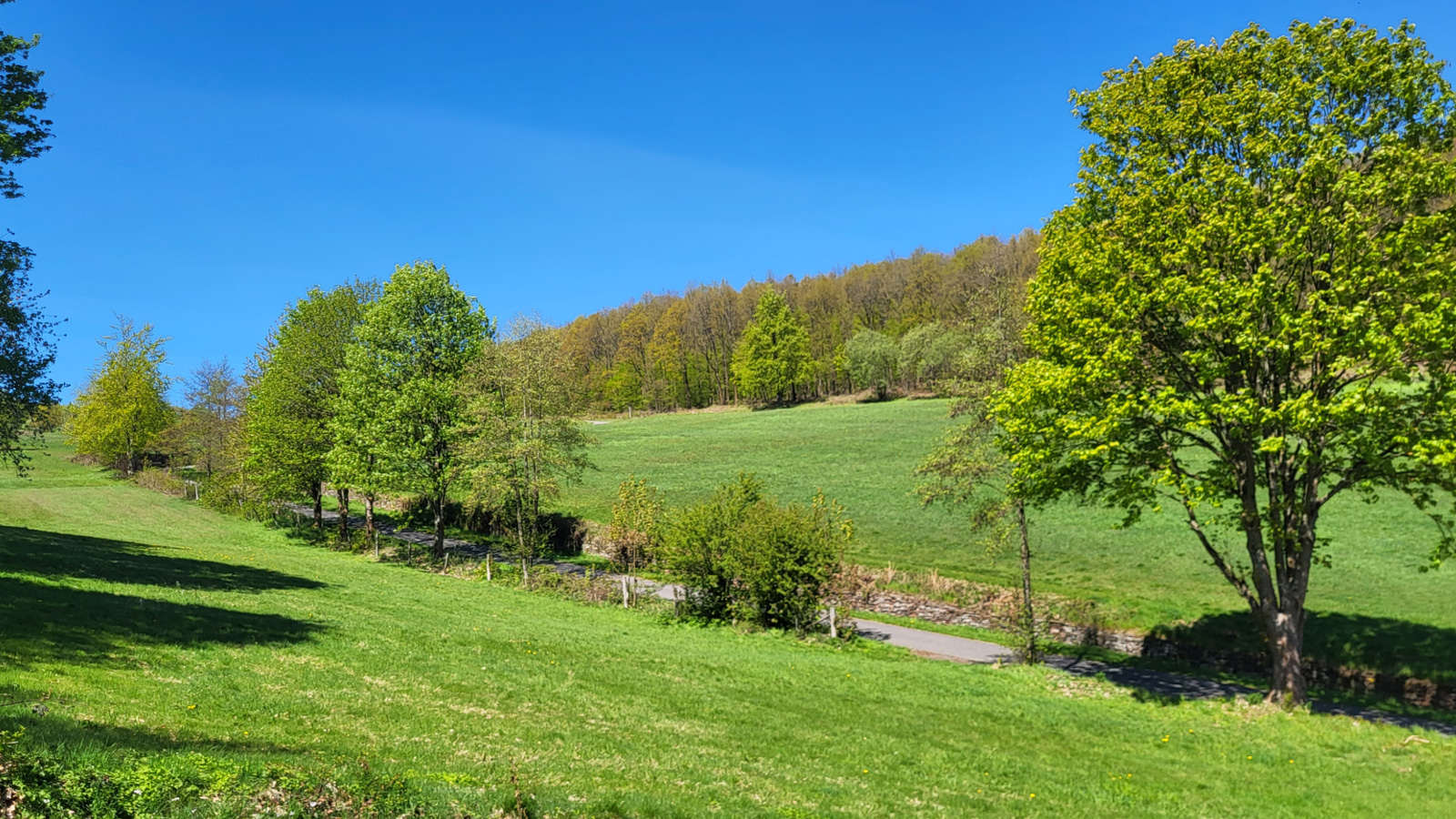 Naturerlebnis im Solling: Sollingverein Hellental organisiert Wanderung am 17. Mai