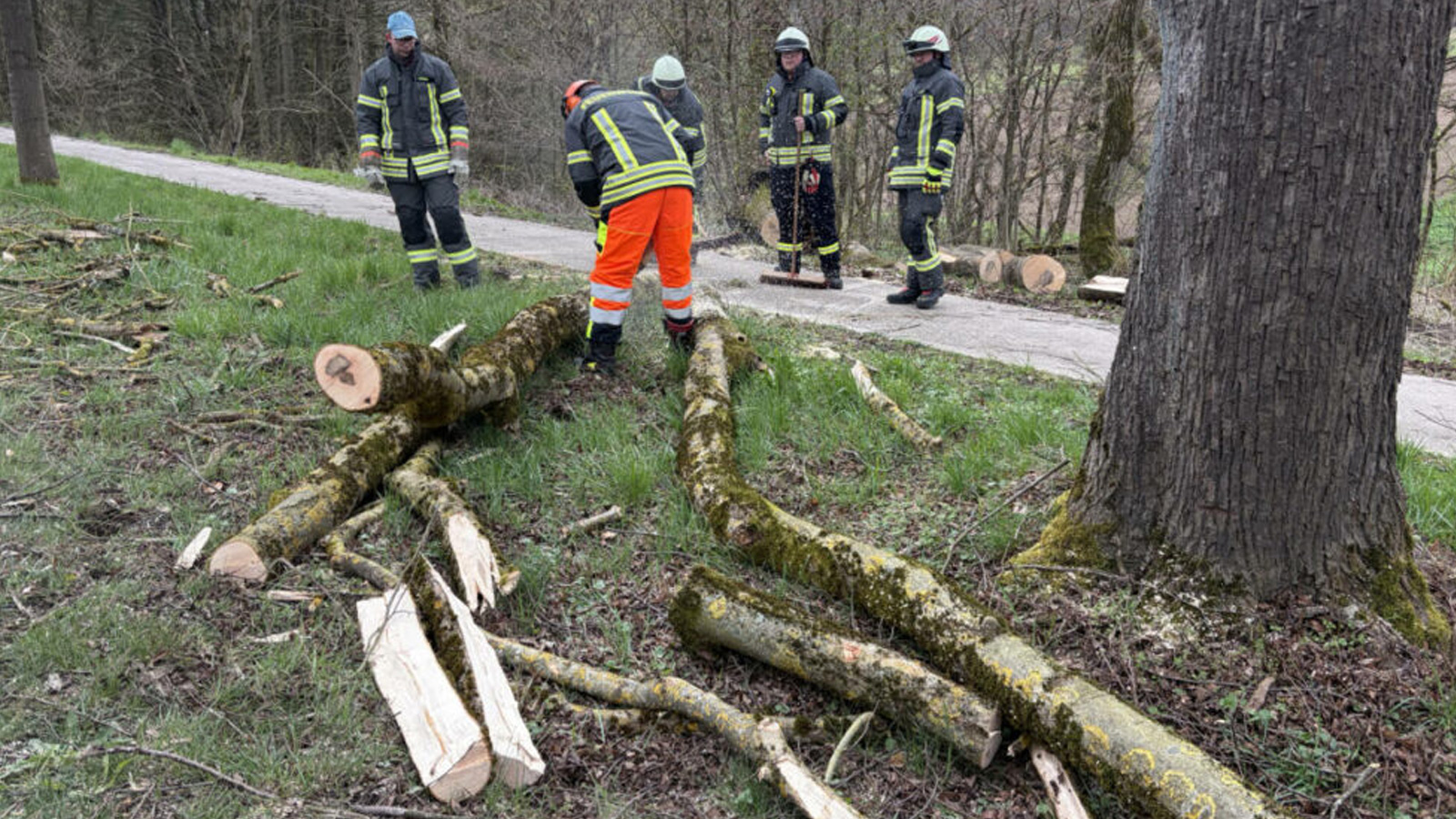Sturmschaden auf B64: Feuerwehren räumen Baum nach Unfall mit zwei Autos bei Vorwohle