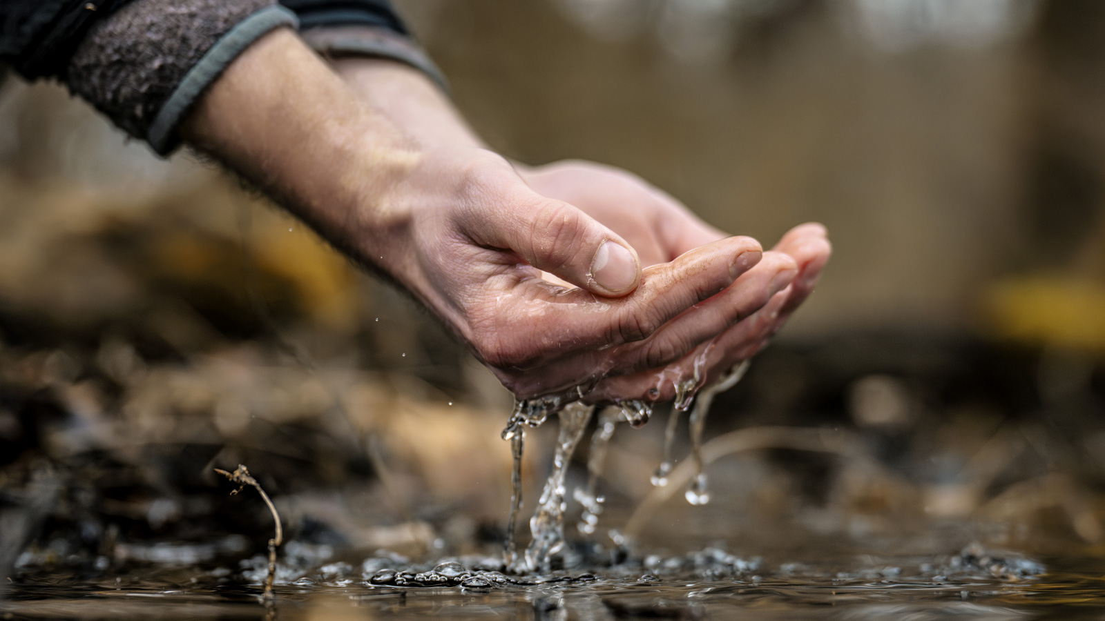 Forstamt Grünenplan informiert über Erkundungsbohrung und Einschränkungen im Waldgebiet Hohenbüchen