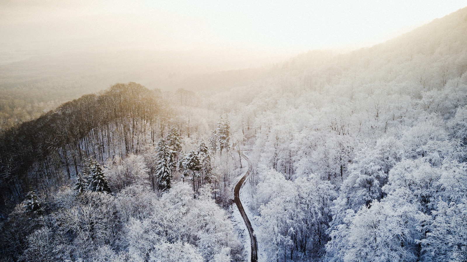 Winterzauber mit Risiko: Landesforsten bitten um umsichtiges Verhalten